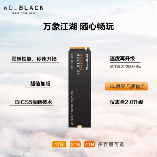 西部數(shù)據(jù)（WD）4TB大容量 筆記本SSD固態(tài)硬盤 M.2 