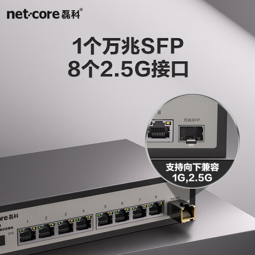 磊科（netcore）GS9 9口企業(yè)級(jí)交換機(jī)8個(gè)2.5G電