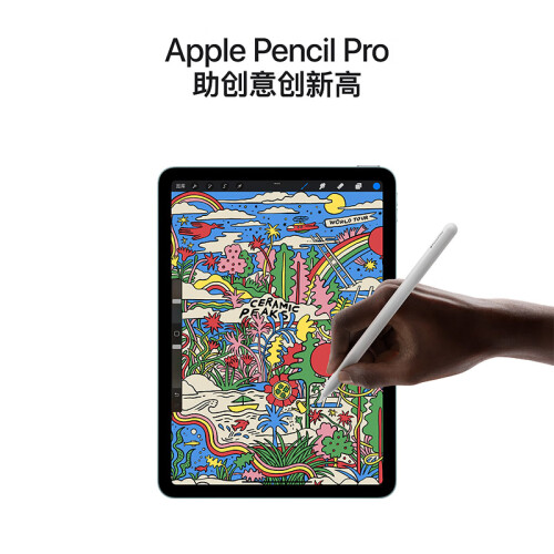 Apple/蘋果 iPad Air 11英寸 M2芯片 20